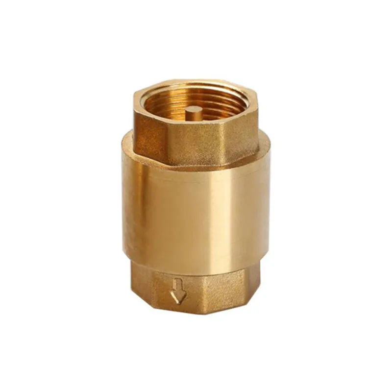 Vacuum Chamber Kit With Pump - 1pcs Brass Check Valve Thread In-Line