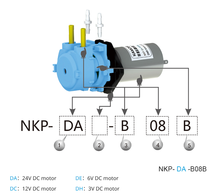 2026 new NKP 6V 12V 24V DC mot - Mini Peristaltic Pump 12V 评论和价格