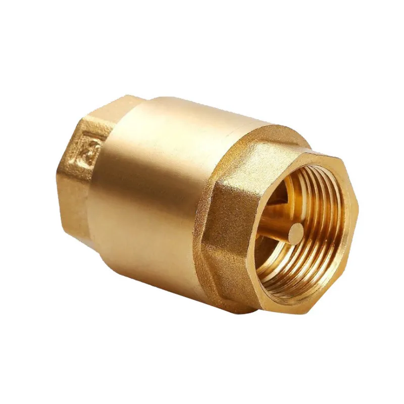1pcs Brass Check Valve Thread  - Vacuum Chamber Kit With Pump 评论和价格